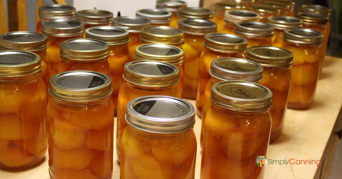 Water Bath Canning Peaches: Raw Pack, Hot Pack & No-Sugar Guides